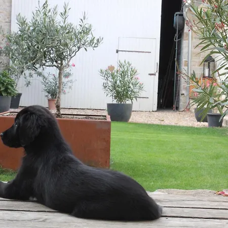 Hofraite 아파트 *