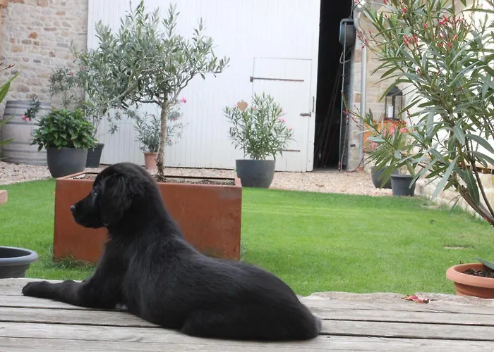 Hofraite 아파트 *